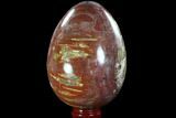 Giant Polished Petrified Wood Egg - Lbs #92417-1